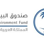 صندوق البيئة