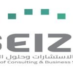 معهد الاستشارات وحلول الأعمال